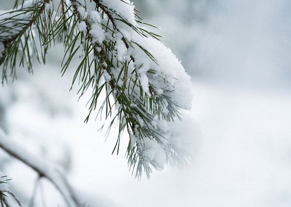Уральские синоптики прогнозируют сильные морозы и небольшой снегопад