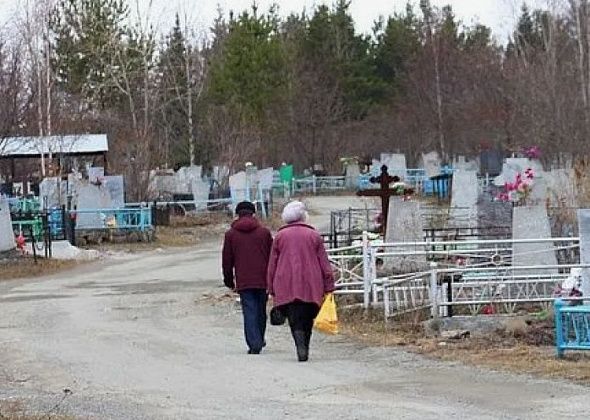 Для трех кладбищ разработают санитарно-защитные зоны