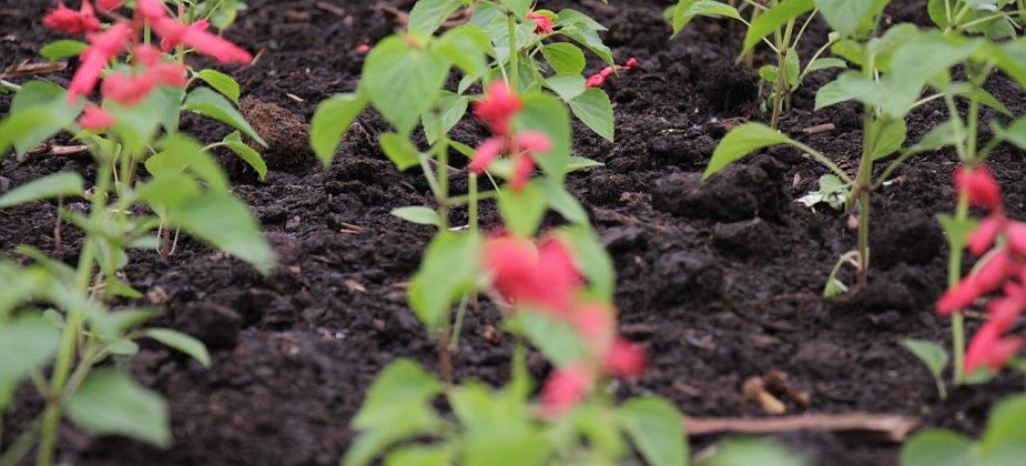 В Краснотурьинске пройдут конкурсы по благоустройству