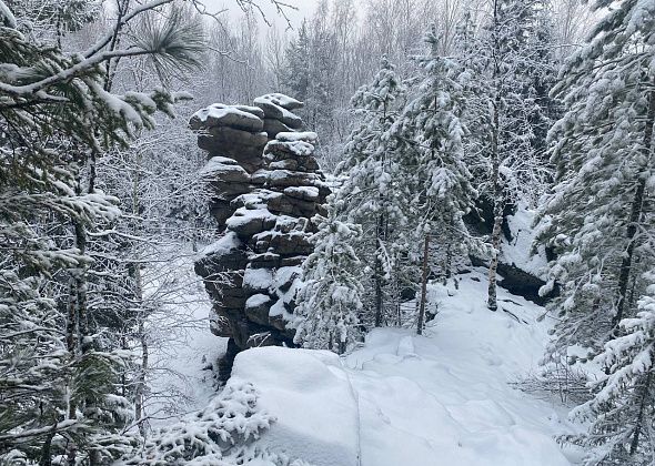 На севере области грядут морозы до -36 градусов
