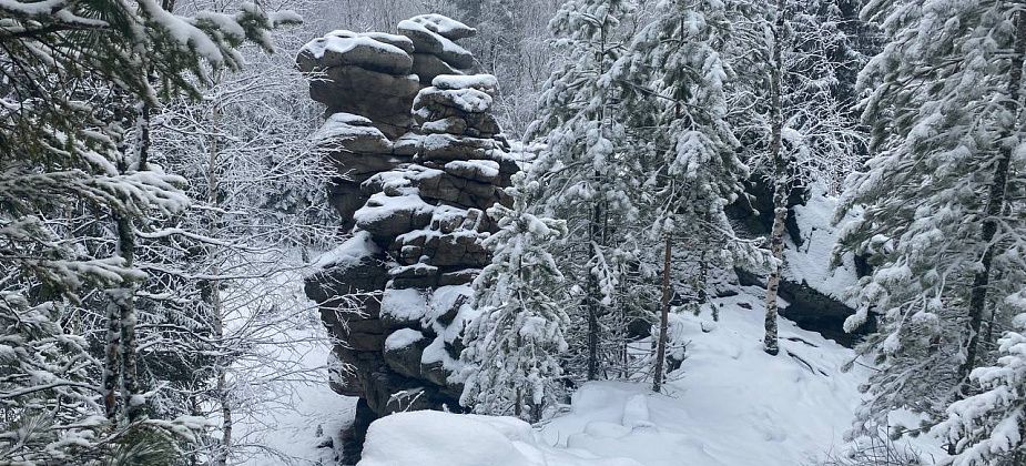 На севере области грядут морозы до -36 градусов