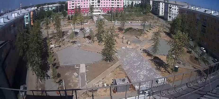 Полиция уничтожила очаг конопли в центре Краснотурьинска
