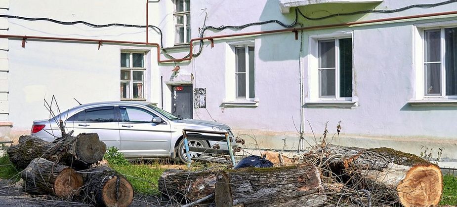 Около месяца спиленные деревья лежали возле домов