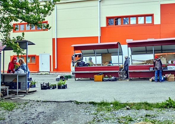 В мэрии Краснотурьинска заверили, что торговать на мини-рынке можно
