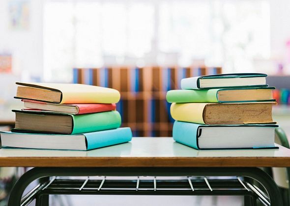 Школьницы из Краснотурьинска стали лауреатами всероссийской конференции «Юность, наука, культура»