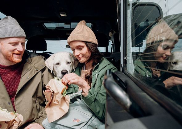 Путешествуете с собакой: что нужно брать с собой, а какие справки и прививки могут пригодиться 
