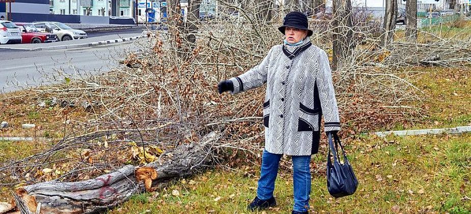 Инициативная горожанка подстригала кусты у больницы. Ранее ее за такую же помощь городу хотели оштрафовать