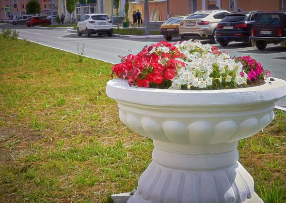 Станция юннатов набирает детей на майскую смену трудового лагеря