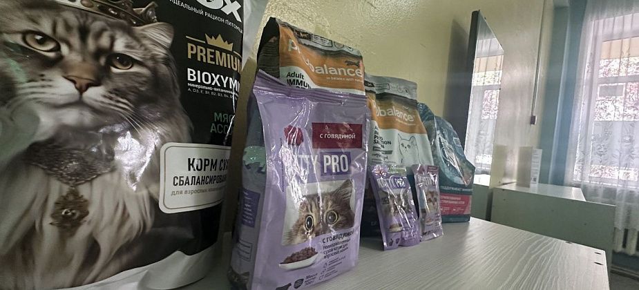 В детской библиотеке проходит благотворительная акция «Протяни руку лапам»