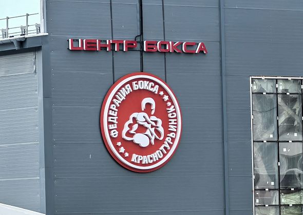ДИП: Центр бокса готовится к сдаче