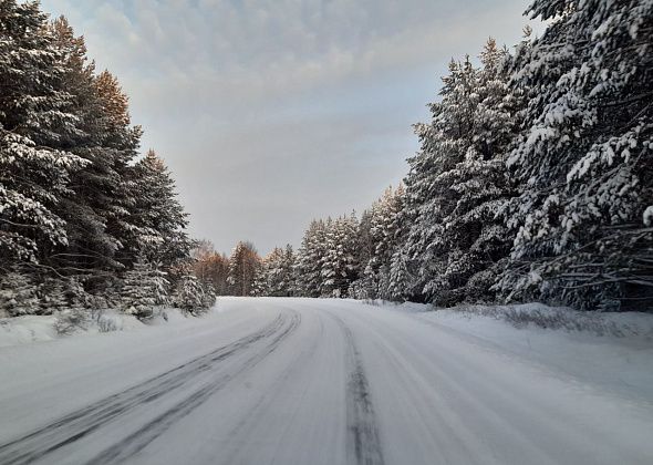 Синоптики, МЧС и ГИБДД предупреждают о снегопадах и ледяном дожде в Свердловской области