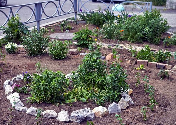 В Краснотурьинске определят самый уютный двор, красивые балкон и клумбу