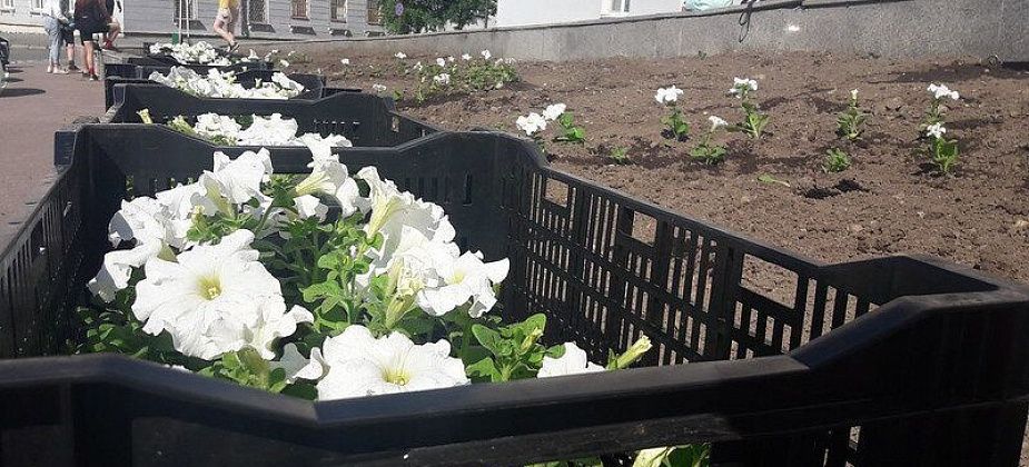 Для школьников открыта запись в летние трудовые лагеря