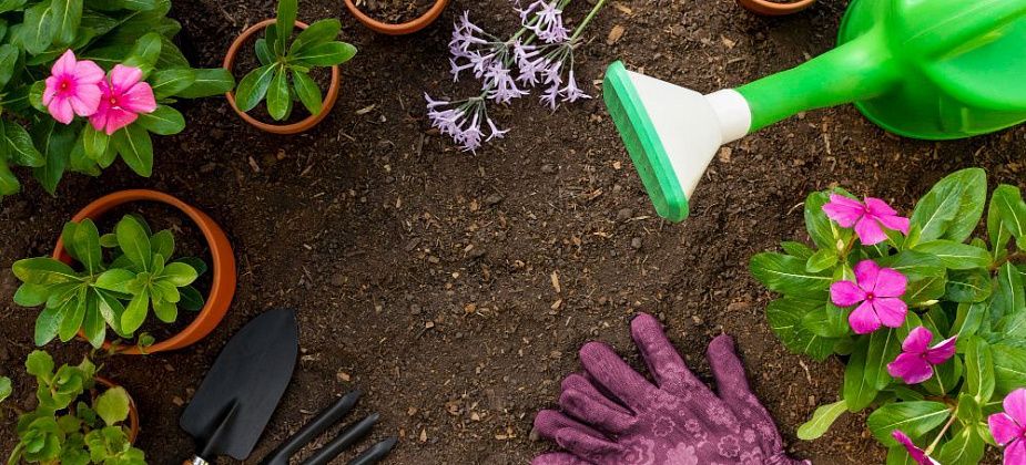 Садовод через суд добился пересмотра отказа в увеличении участка