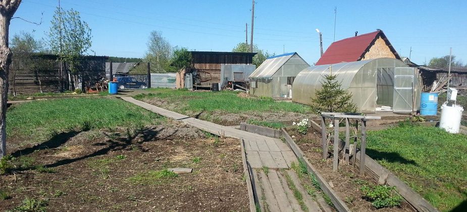 Чем заняться в саду в мае: подрезаем кусты, готовимся к посадке картофеля, садим гладиолусы