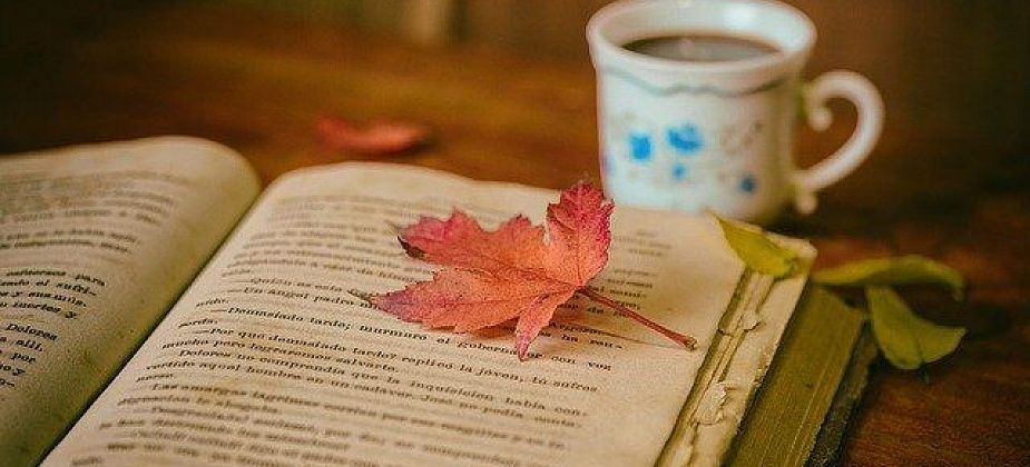 Почему книги интереснее, чем фильмы по ним?