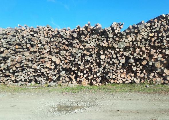 В Краснотурьинске горел деревообрабатывающий цех 