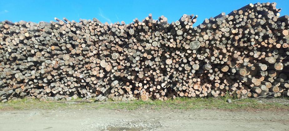 В Краснотурьинске горел деревообрабатывающий цех 