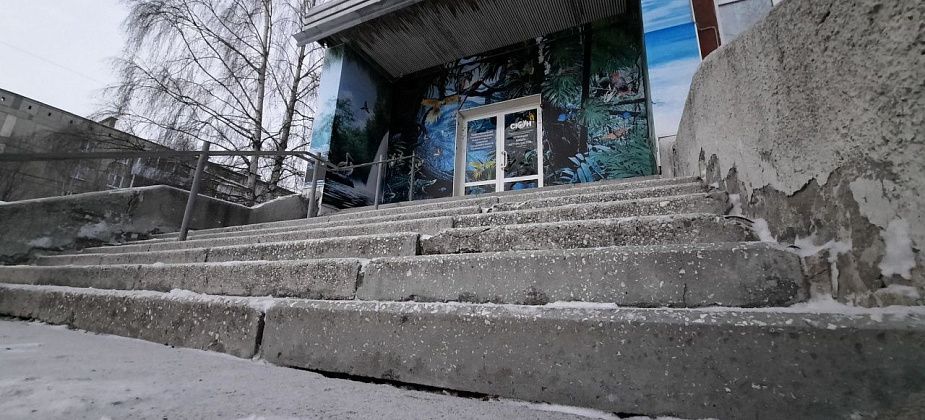 Юные археологи из Краснотурьинска успешно выступили на конференции в Полевском