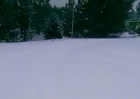 «Мы должны утром по сугробам лазить?» Жительница станции Воронцовка жалуется на неочищенную дорогу