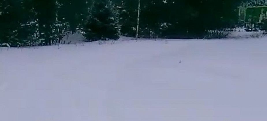 «Мы должны утром по сугробам лазить?» Жительница станции Воронцовка жалуется на неочищенную дорогу