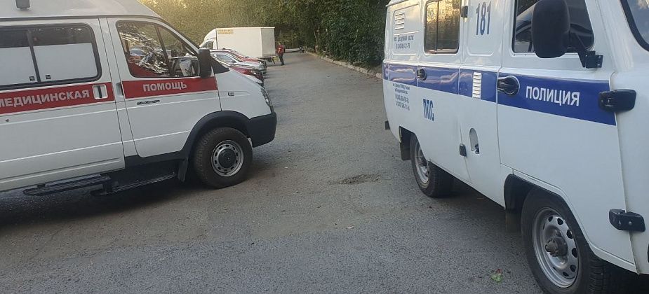 Полиция изъяла 8-летнего ребенка