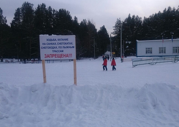 Почему горожанам в лесу не рады