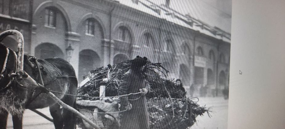 Исторические приключения новогодней елки
