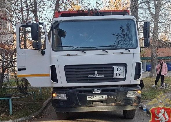 Дело о смертельном наезде мусоровоза на пенсионерку может быть рассмотрено в особом порядке