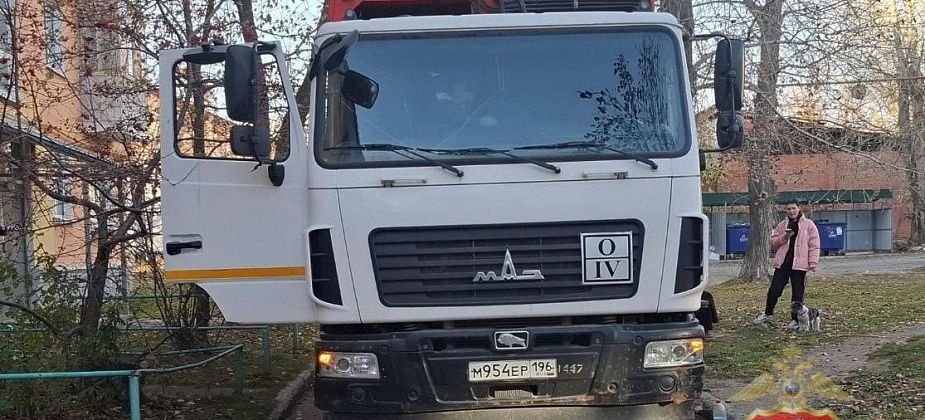 Дело о смертельном наезде мусоровоза на пенсионерку может быть рассмотрено в особом порядке