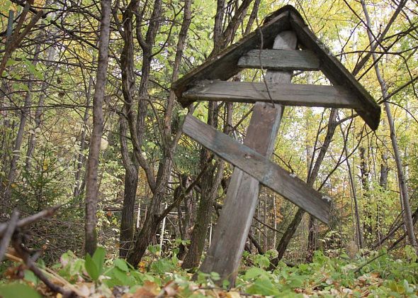 Кладбище – не место для пиршеств. Можно ли кушать на погостах, поминать усопших едой и оставлять пищу на могилах?