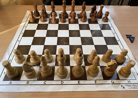 В Краснотурьинске прошли праздничные турниры по шахматам и шашкам