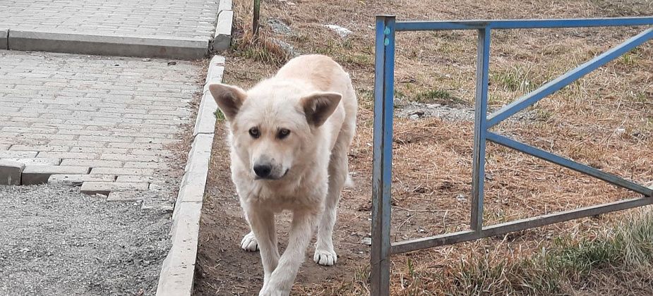 Мужчина получил 8 суток за скандал в "Монетке"