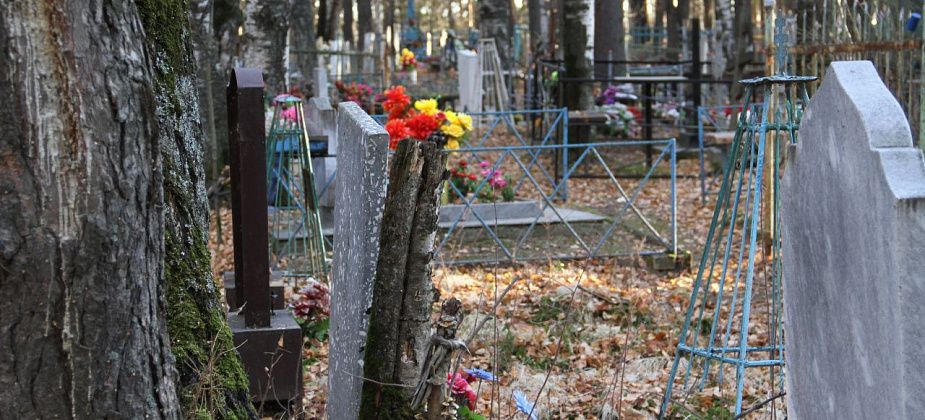 На кладбищах наведут порядок