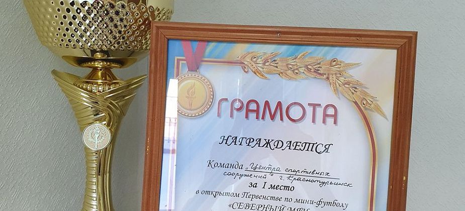 Юные футболисты Центра спортивных сооружений выиграли кубок окружного первенства