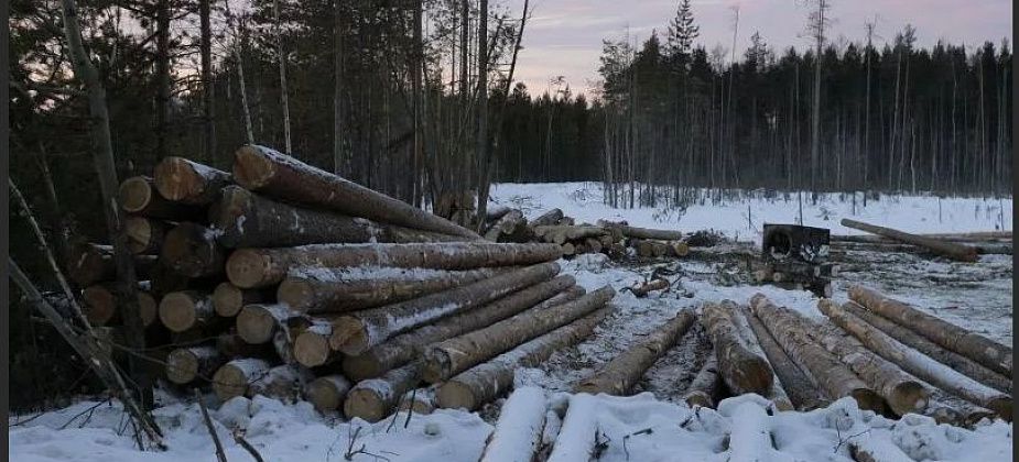 Что хочет от краснотурьинского предпринимателя прокуратура... Верхней Пышмы?