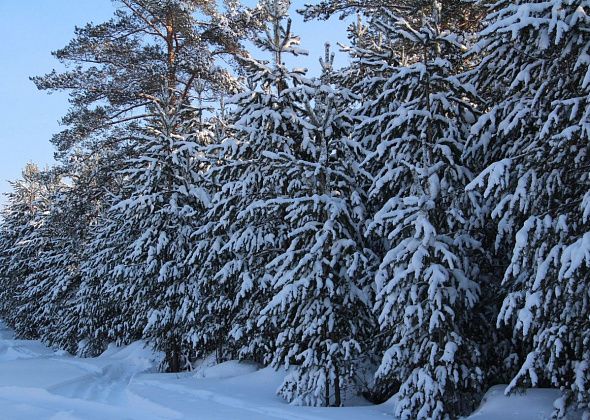 На карьере под Краснотурьинском пройдут взрывные работы