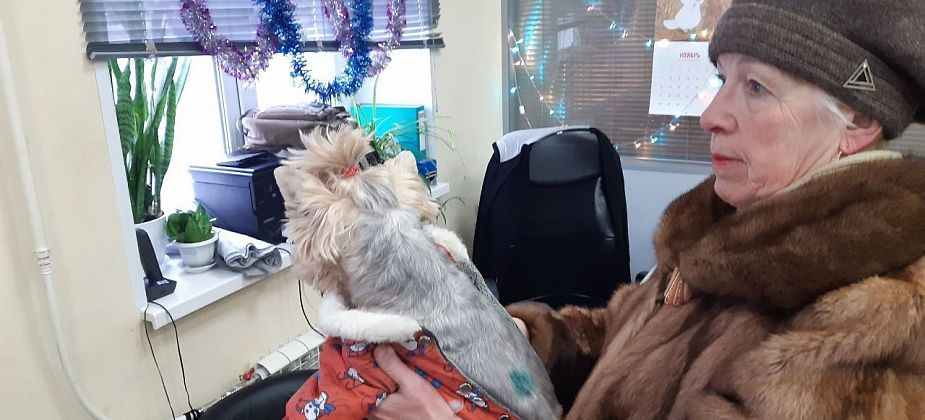 "Укусила до крови, порвала одежду". В Краснотурьинске чуть не растерзали йоркширского терьера