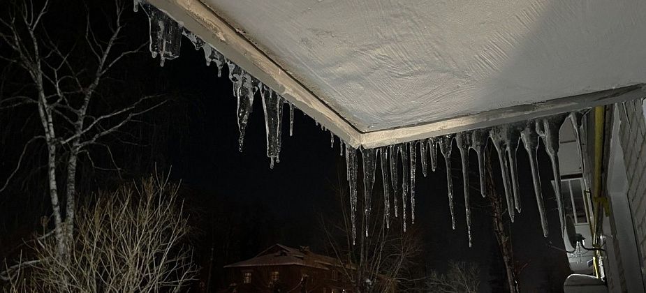 Зима на севере области закончится плюсовой температурой