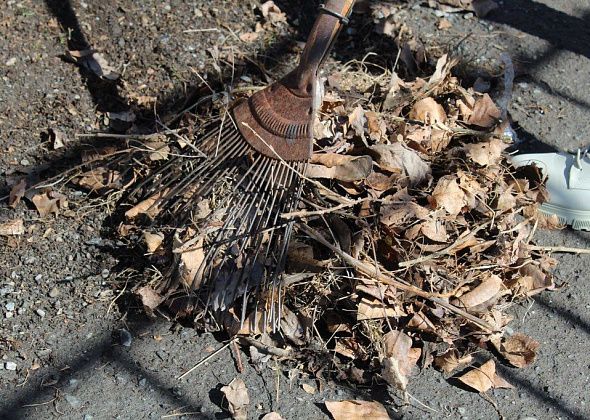 ИСО зовет на экологический субботник