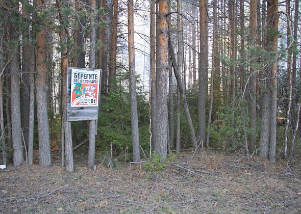 На устройстве минерализованных полос можно заработать 500 тысяч рублей