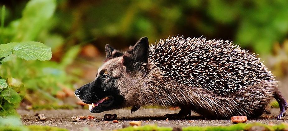 Блог. Алеся Копылова: "Когда фотошоп — это плохо"