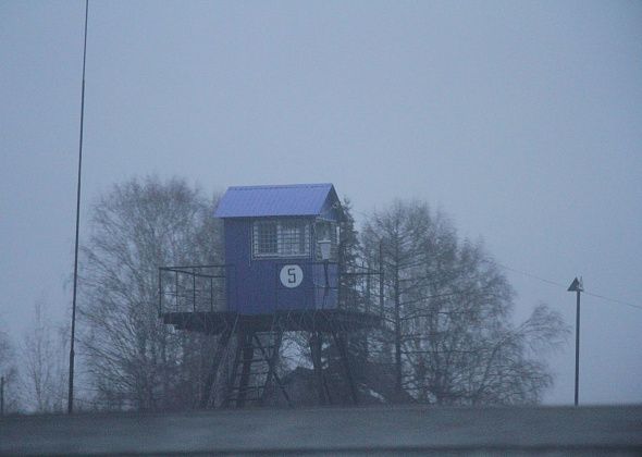 Осужденного за разбой освободят из колонии раньше срока