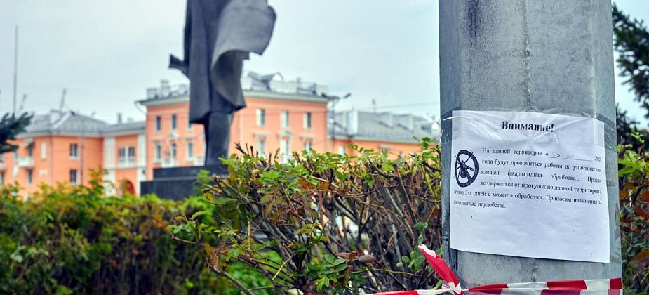 Мэрия Краснотурьинска ищет подрядчиков по акарицидной обработке территорий