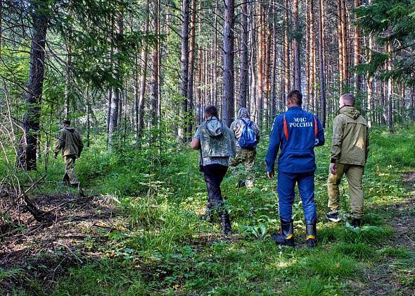 «Он мог уйти достаточно далеко». Продолжаются поиски ушедшего по грибы и пропавшего пенсионера