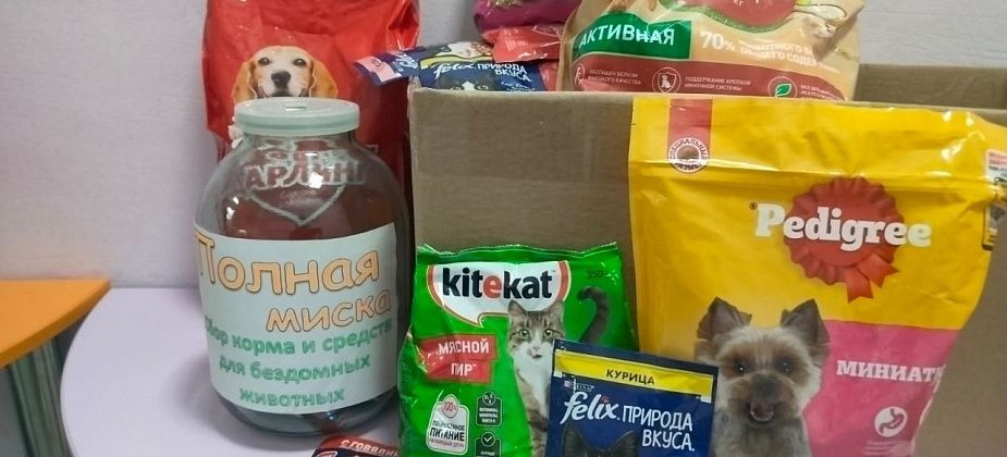 Юннаты собирают помощь для бездомных животных из приюта в Серове