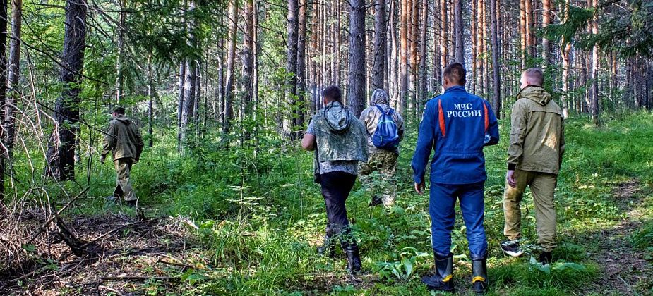 «Он мог уйти достаточно далеко». Продолжаются поиски ушедшего по грибы и пропавшего пенсионера