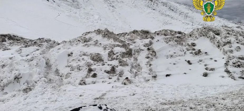 Сход снега унес жизни двоих детей в Шалинском районе