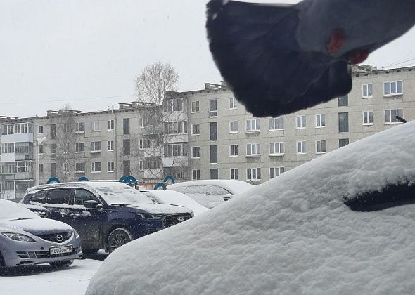 В мэрии Краснотурьинска рассказали, как борются с последствиями снегопада