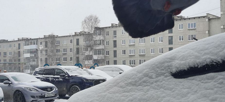 В мэрии Краснотурьинска рассказали, как борются с последствиями снегопада